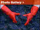 Photo Gallery