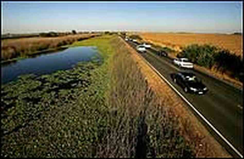 CA Levee, Getty Images