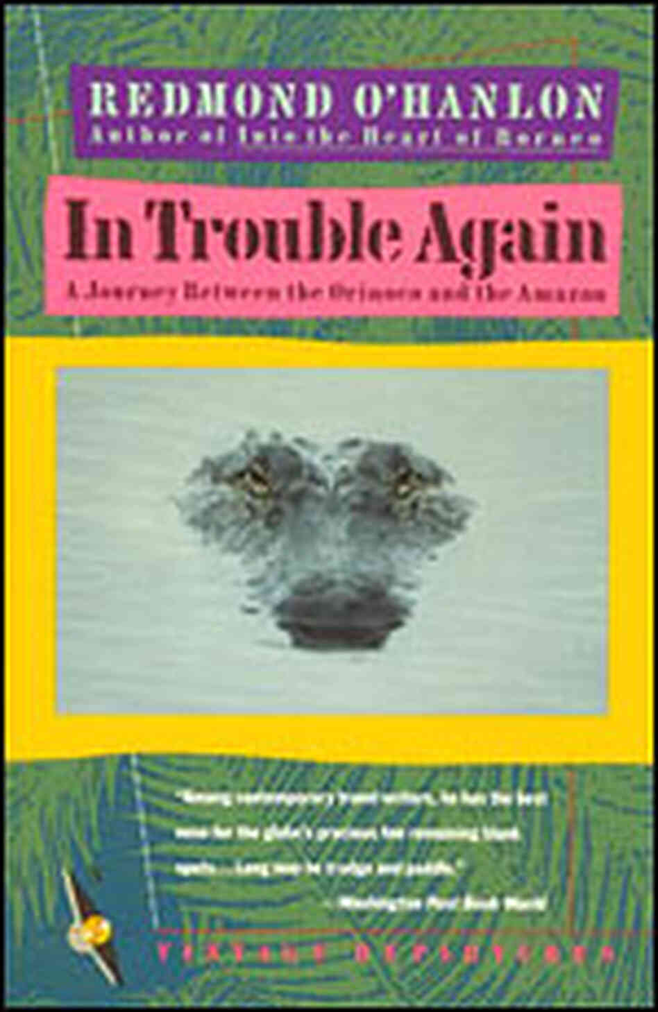 'In Trouble Again: A Journey Between Orinoco and the Amazon' 'In Trouble Again: A Journey Between Orinoco and the Amazon'