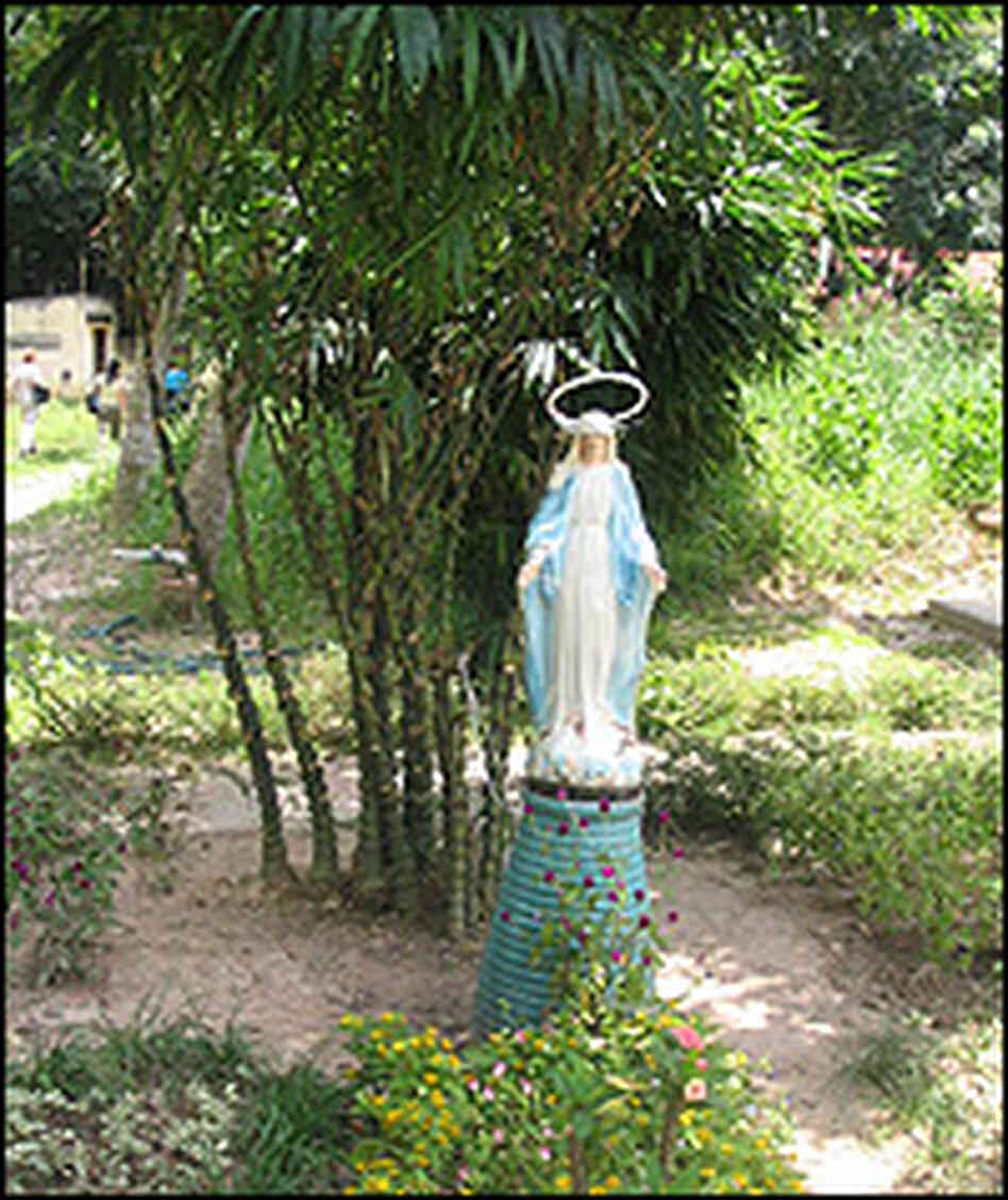 A garden at the Mai Hoa AIDS Center. A garden at the Mai Hoa AIDS Center.