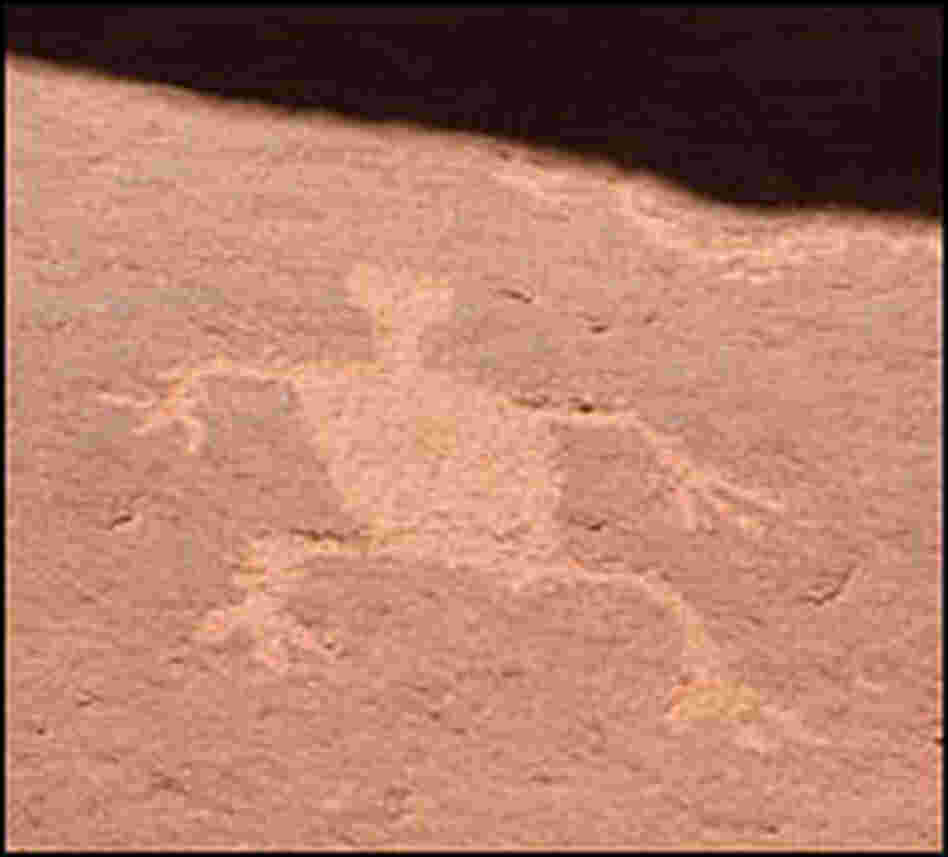 Petroglyph