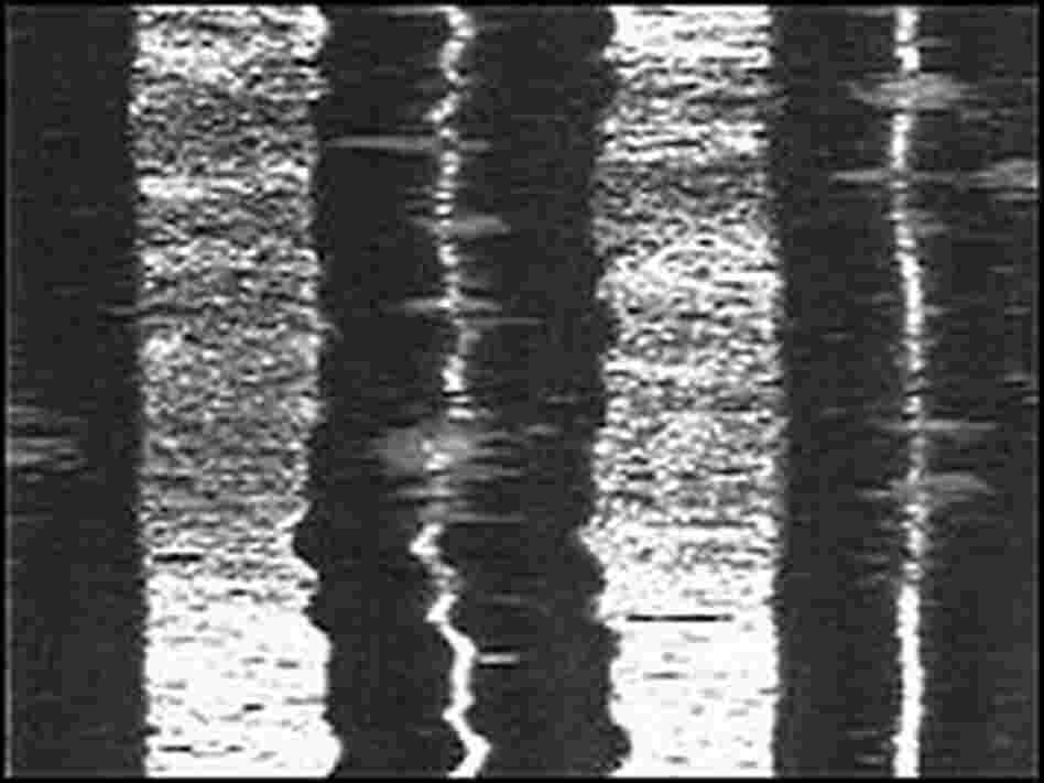 A photo image of a record groove.