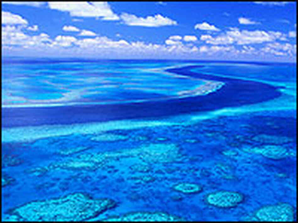 Australia's Great Barrier Reef Australia's Great Barrier Reef