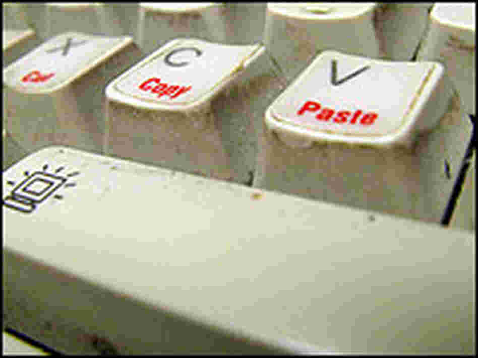 Nell Boyce's dirty keyboard, prior to the experiment. Nell Boyce's dirty keyboard, prior to the experiment.