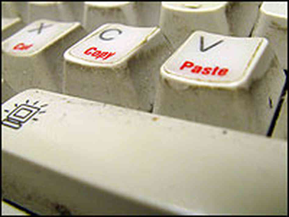 Nell Boyce's dirty keyboard, prior to the experiment. Nell Boyce's dirty keyboard, prior to the experiment.