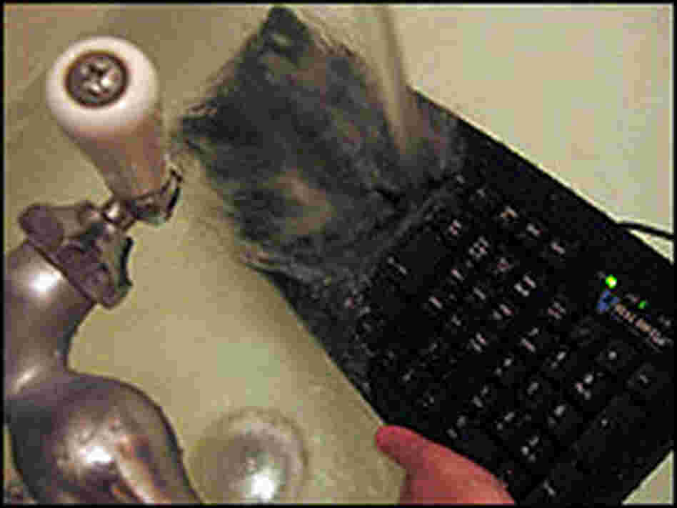 Nell Boyce runs a Seal Shield keyboard underwater. Nell Boyce runs a Seal Shield keyboard underwater.
