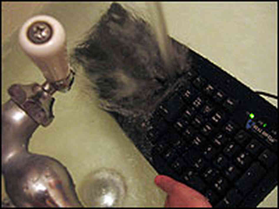 Nell Boyce runs a Seal Shield keyboard underwater. Nell Boyce runs a Seal Shield keyboard underwater.