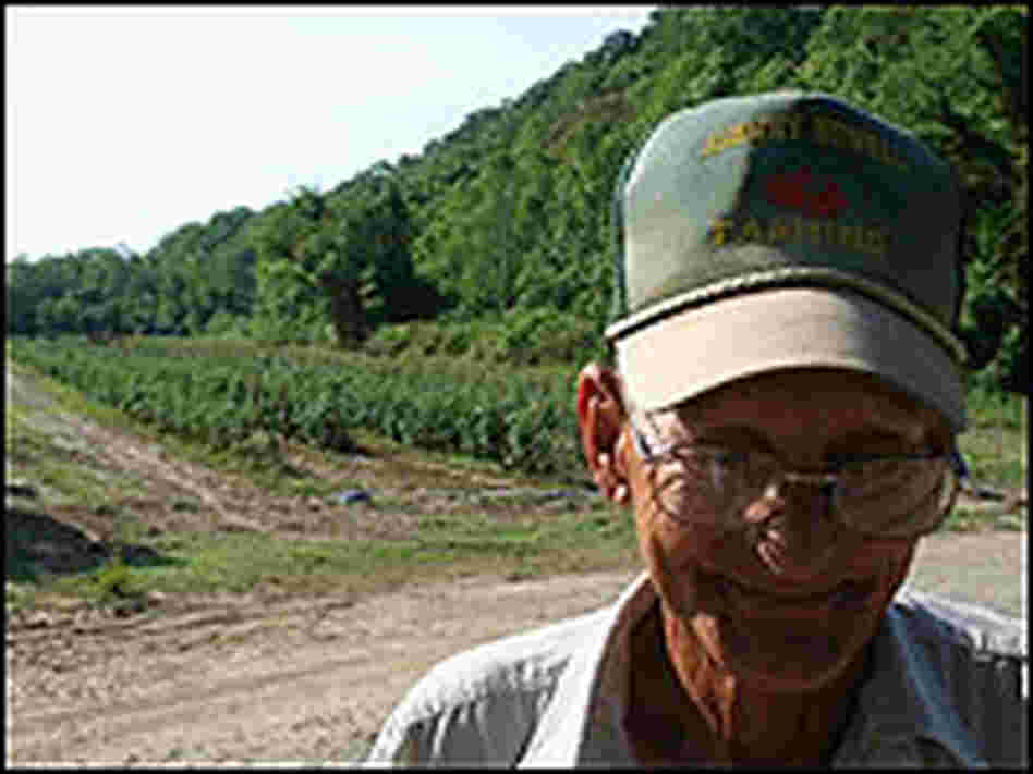 Johnny Howell, pictured by his dried, but prized tomato crops.