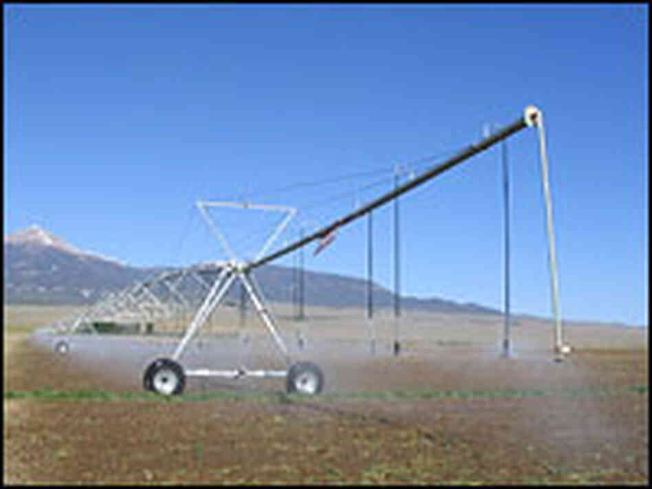 Pivot sprinklers in Snake Valley, Nev., make the desert blossom with alfalfa.