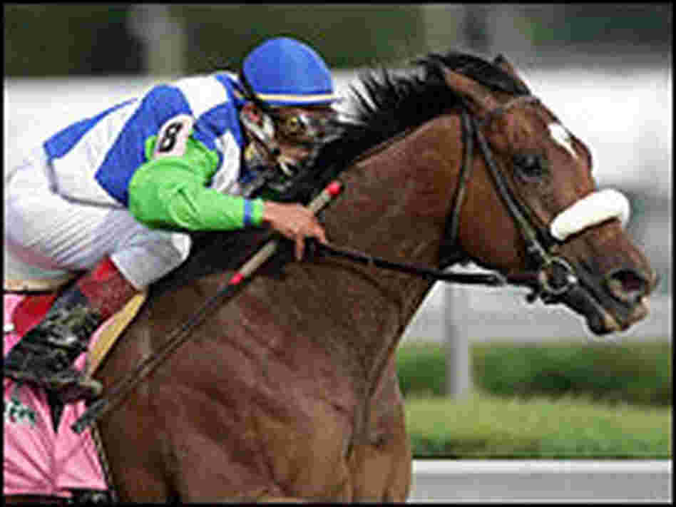 Barbaro, ridden by jockey Edgar Prado, on his way to winning the Kentucky Derby.