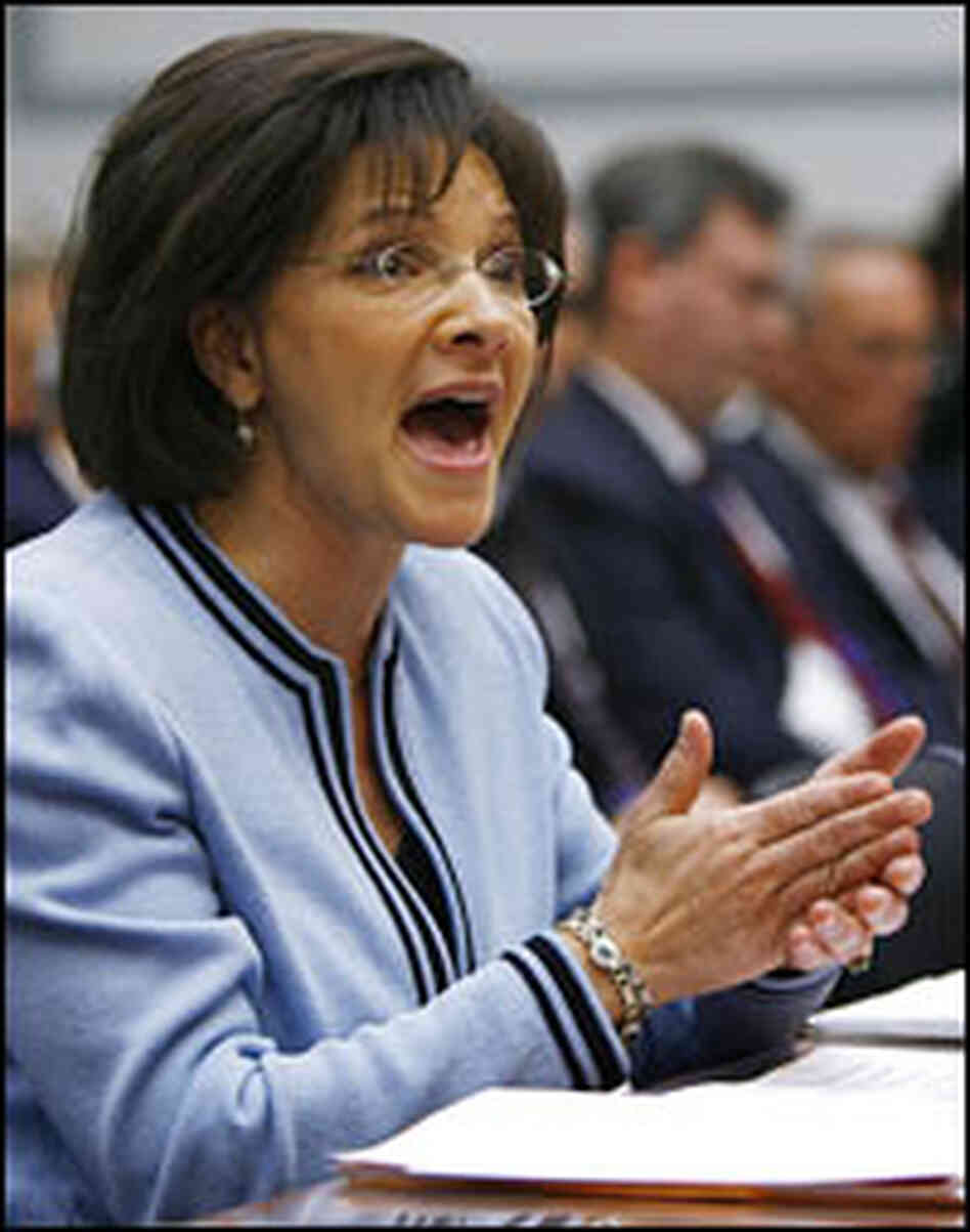 General Services Administration chief Lurita Doan testifies before the House oversight panel. General Services Administration chief Lurita Doan testifies before the House oversight panel.