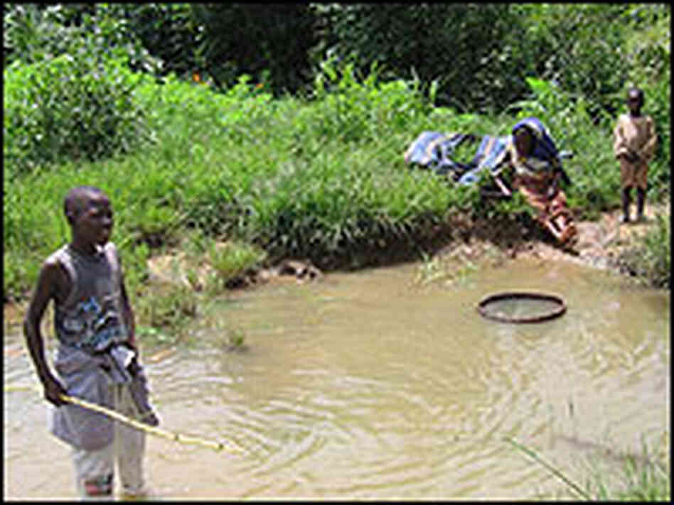Children play in a pond that is very likely infected with the parasite that causes schistosomiasis. Children play in a pond that is very likely infected with the parasite that causes schistosomiasis.