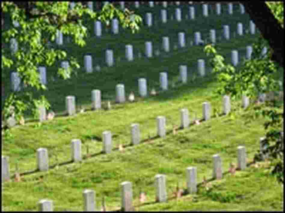 Flags line a section of Arlington National Cemetery on a hillside near the Tomb of the Unknowns.