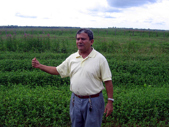 Father Edilberto Sena stands in a soy field.