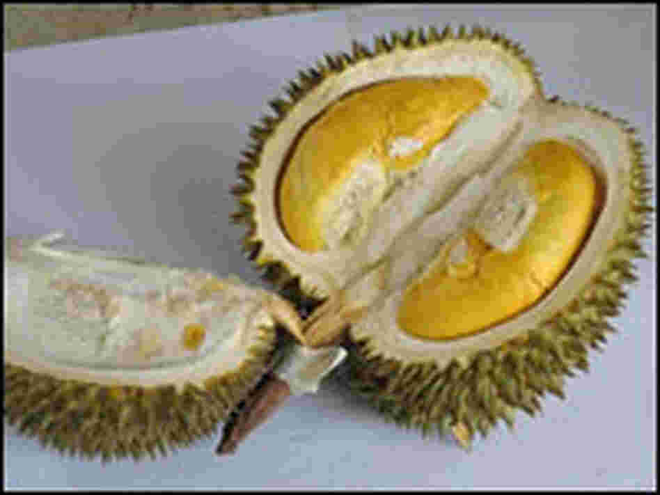 Chantaburi No. 1, sliced open