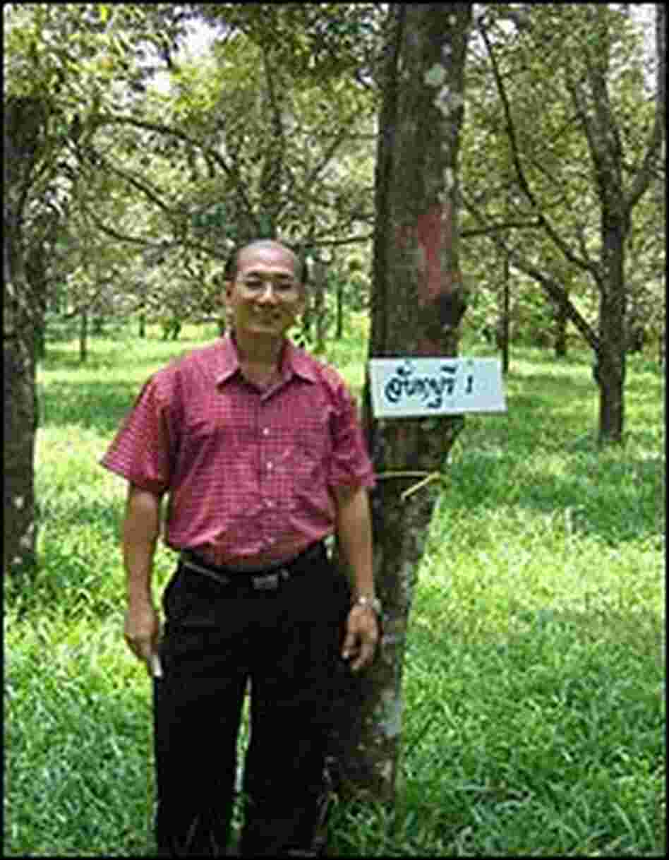 Dr. Songpol Somsri stands next to his Chantaburi No. 1 tree.