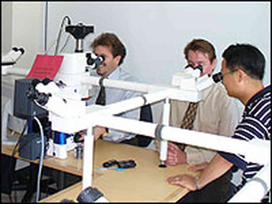 Dermatopathologist Dr. Philip LeBoit drives an octopus-like microscope Dermatopathologist Dr. Philip LeBoit drives an octopus-like microscope