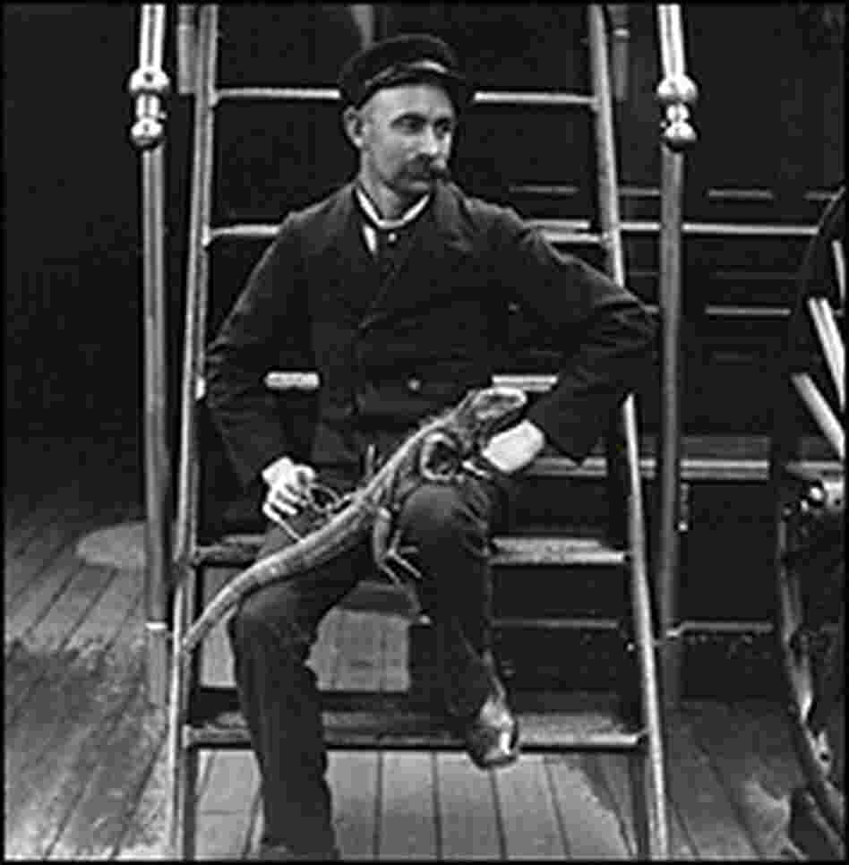U.S. Admiral Sampson's steward holds a pet iguana, circa 1893. U.S. Admiral Sampson's steward holds a pet iguana, circa 1893.