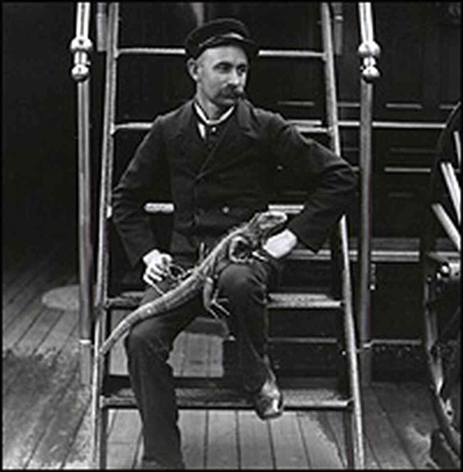 U.S. Admiral Sampson's steward holds a pet iguana, circa 1893. U.S. Admiral Sampson's steward holds a pet iguana, circa 1893.
