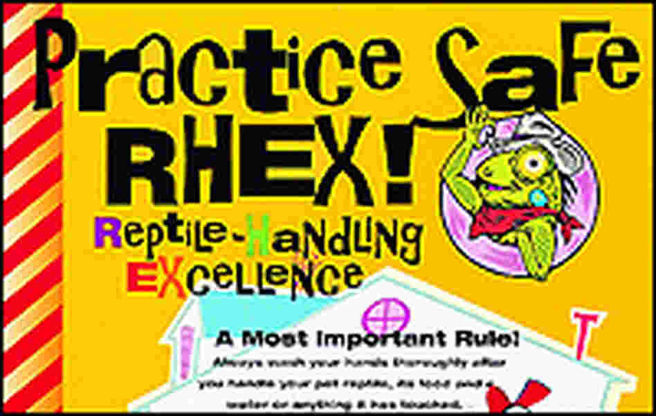 A Centers for Disease Control and Prevention poster on reptile pet safety.