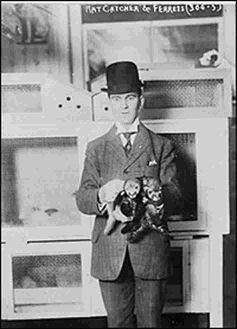 A turn-of-the-century New York City sign advertises "rat catcher and ferrets."