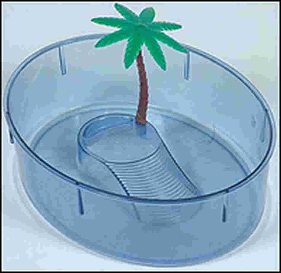 Tiny pet turtles often lived in plastic aquariums like this one. Tiny pet turtles often lived in plastic aquariums like this one.