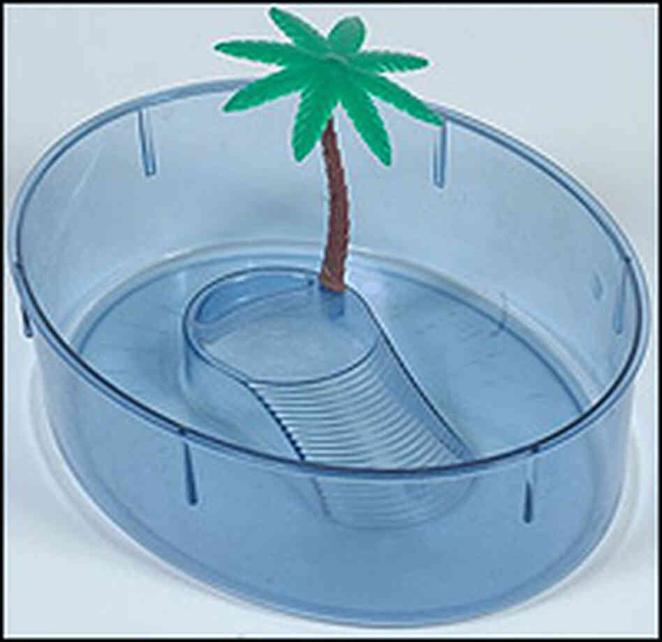 Tiny pet turtles often lived in plastic aquariums like this one. Tiny pet turtles often lived in plastic aquariums like this one.