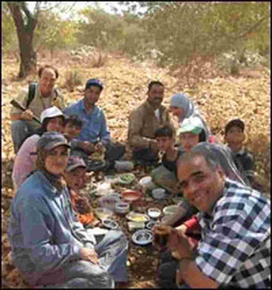 Lunch under olive trees.