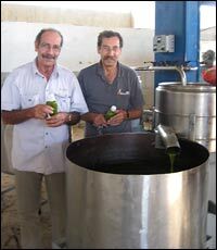 Dr. Maen Odeh (left), agricultural scientist and native of the Palestinian village of Bidya with Musa Salameh, president of the village olive oil cooperative. They are standing at a separator at the olive press, which marks the final stage of extraction.