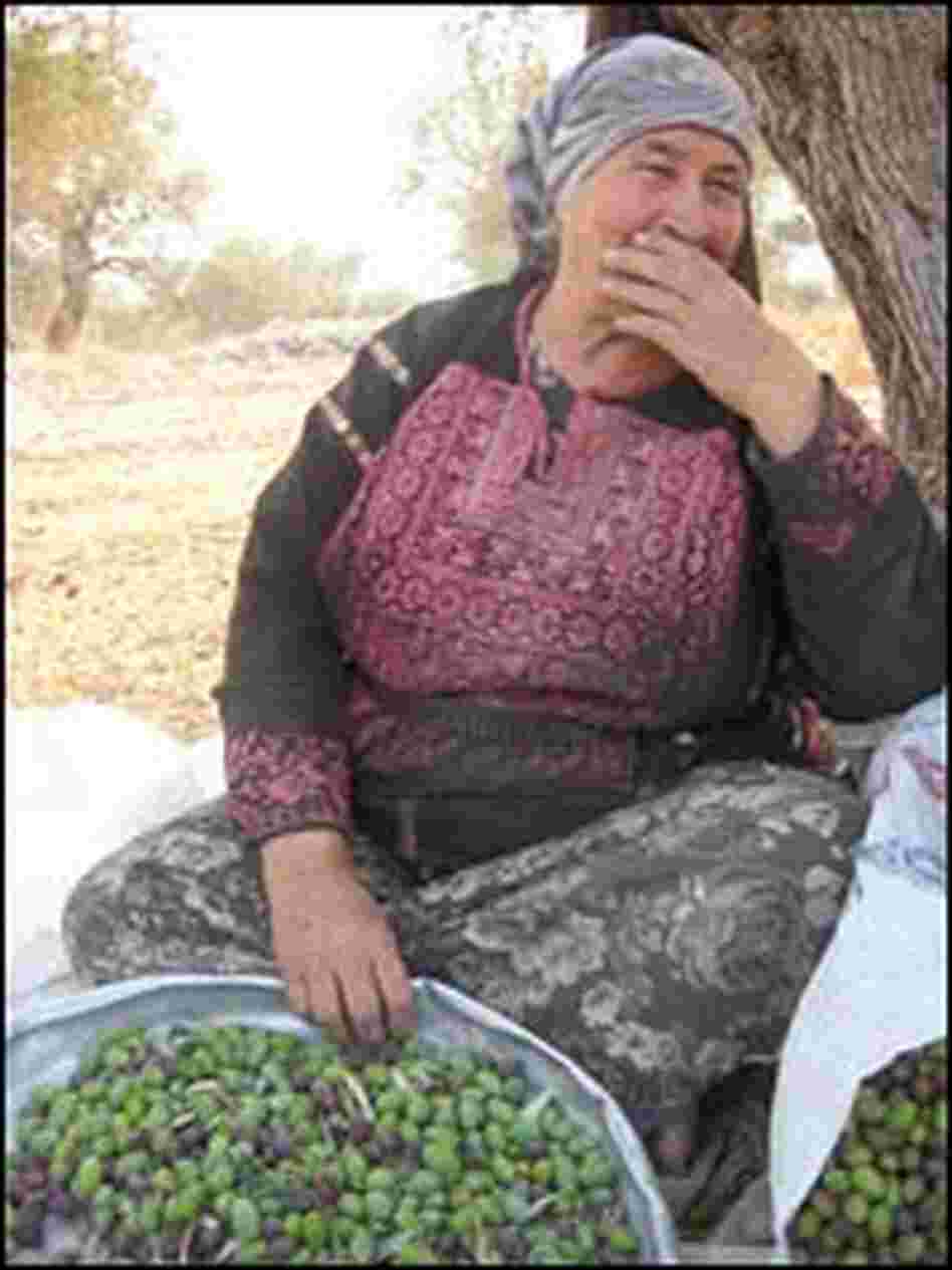 Umm Adnan Yasin holds a metal pan that she uses to separate leaves from olives.