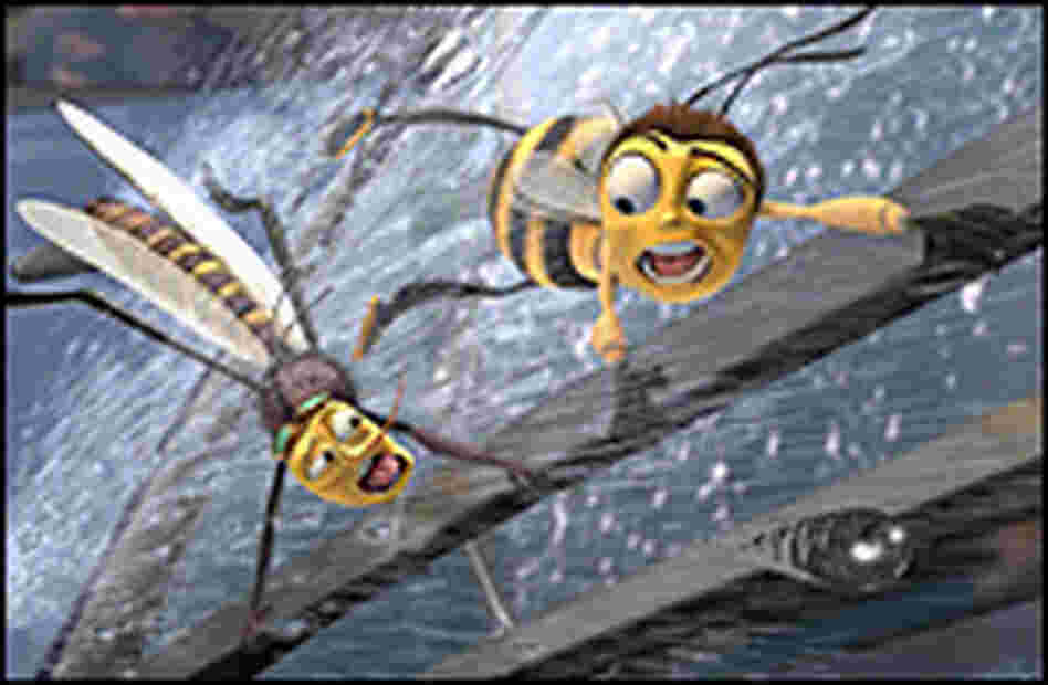 Bees on Windshield