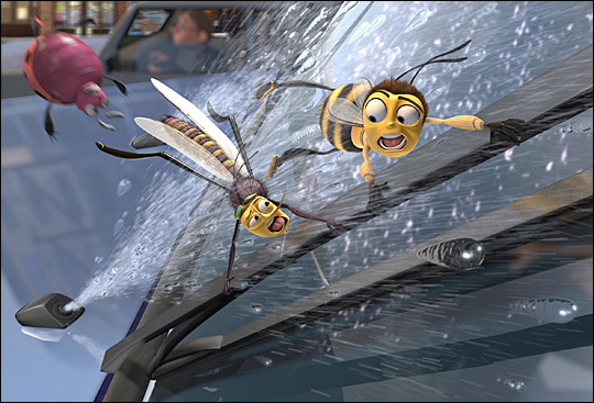 Bees on Windshield