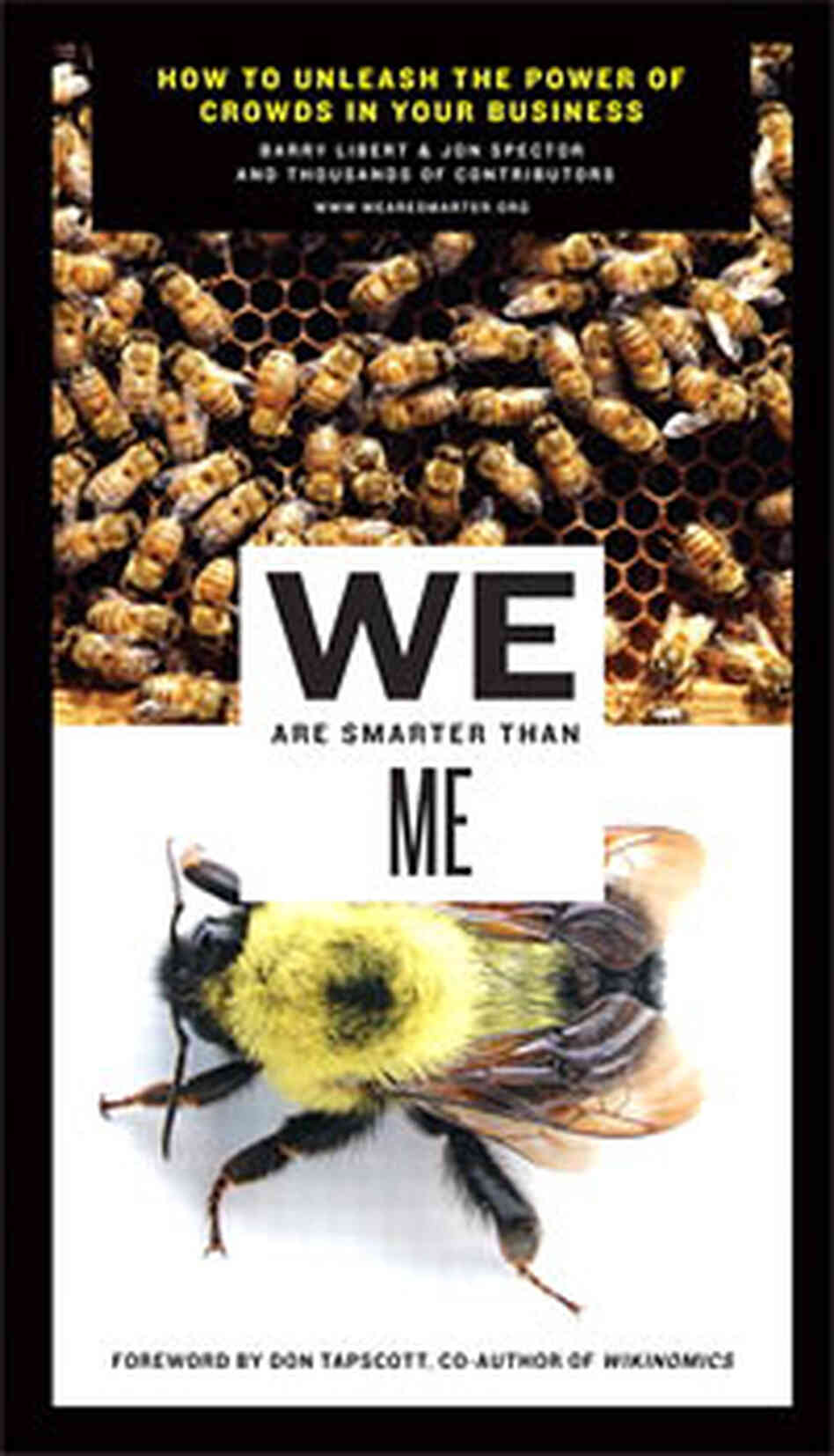 'We Are Smarter Than Me' 'We Are Smarter Than Me'