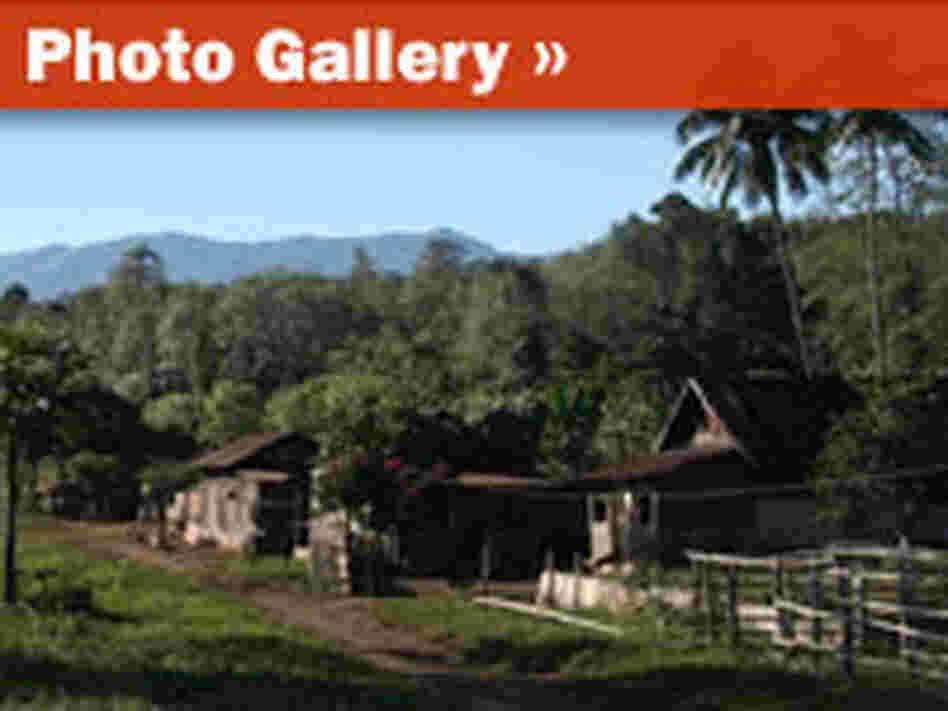 Photo Gallery
