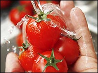 Cleaning fresh tomatoes