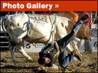 Rodeo Photo Gallery: Rough Riders and Bulldoggers Rodeo Photo Gallery: Rough Riders and Bulldoggers
