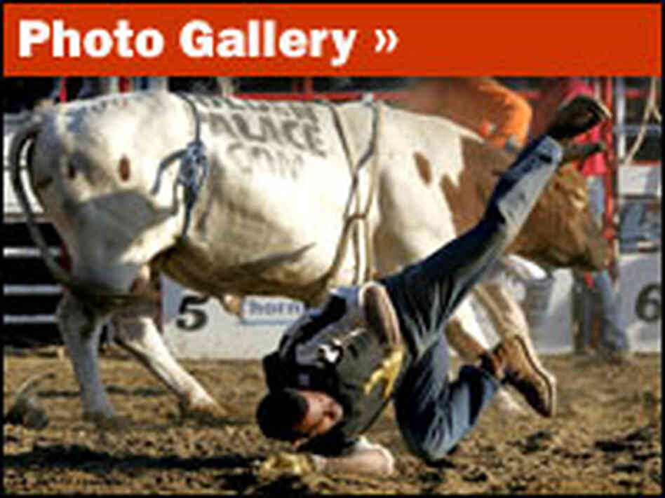 Rodeo Photo Gallery: Rough Riders and Bulldoggers