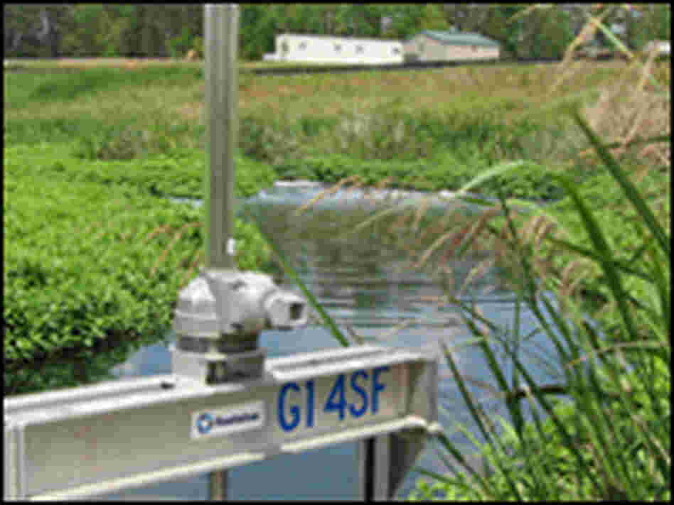 Pond