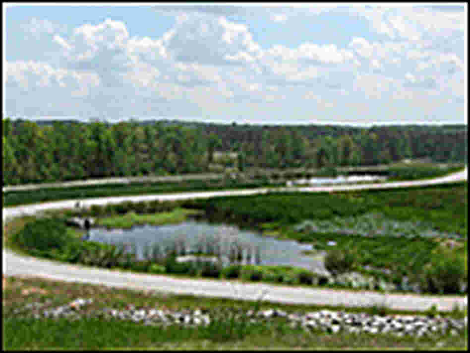 Wetlands