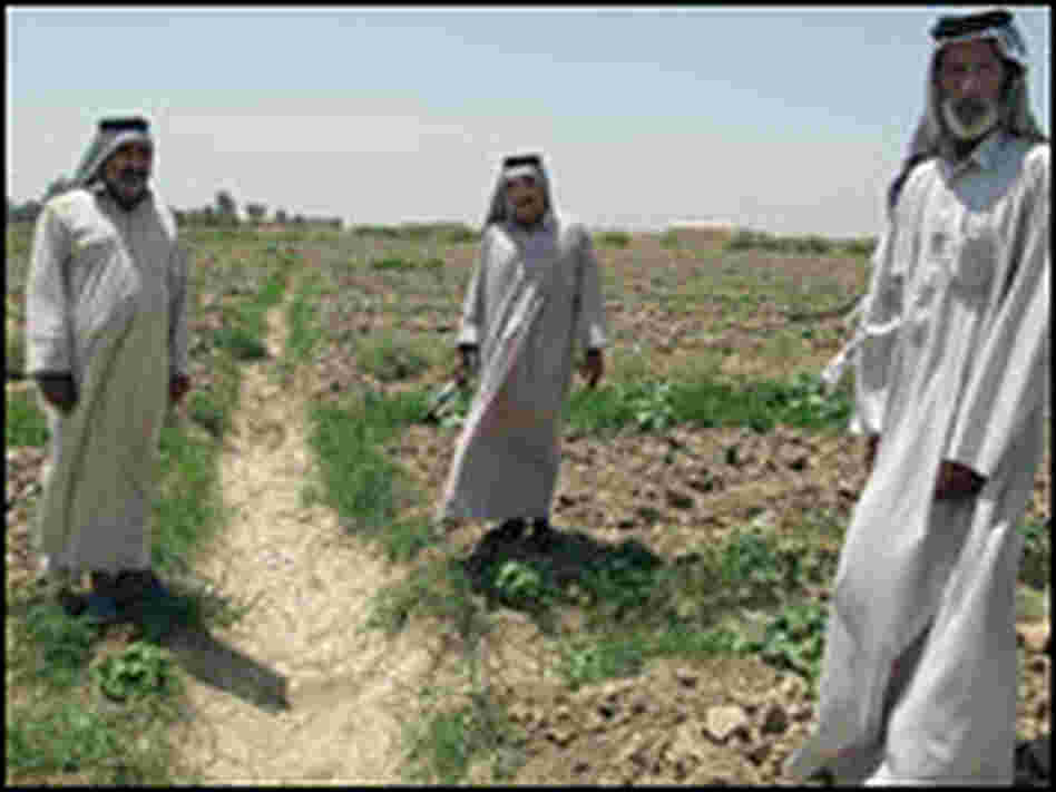 Iraqi farmers stand next to a dried and cracked irrigation ditch.