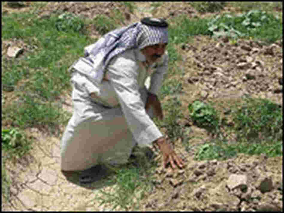 Iraqi farmer Fareed Sha'ban Mohammad