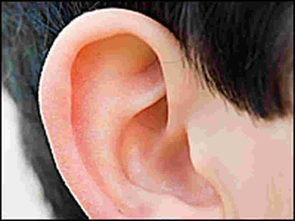 Close-up of a child's ear Close-up of a child's ear