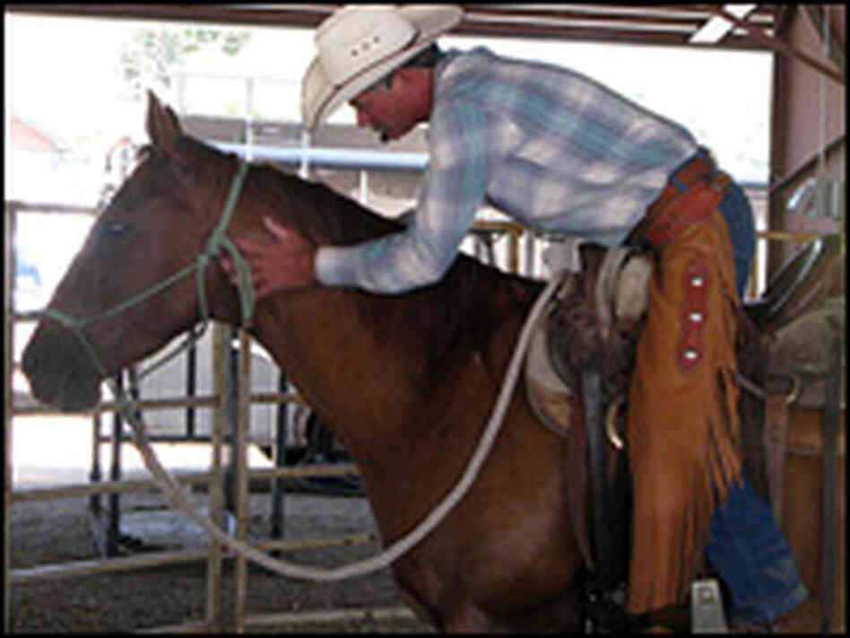 Horse whispering