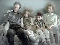 Static Electricity House