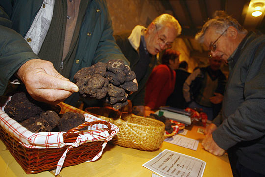 People look at black truffles