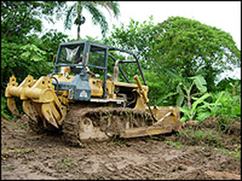 Bulldozer in forest Bulldozer in forest