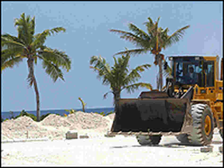 A bulldozer makes its way past palm trees on Hulhumale, an artificial island built by Maldives. A bulldozer makes its way past palm trees on Hulhumale, an artificial island built by Maldives.