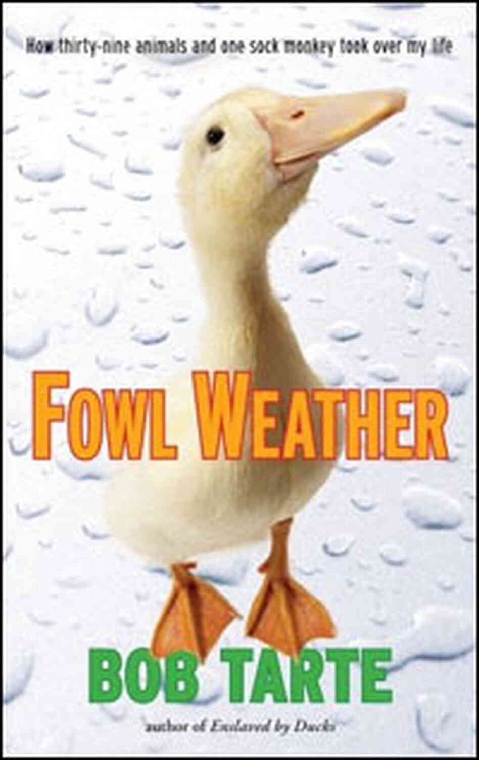 'Fowl Weather' 'Fowl Weather'