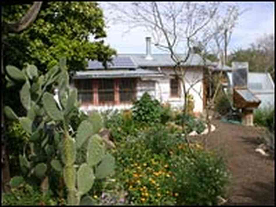 Brad Lancaster's garden