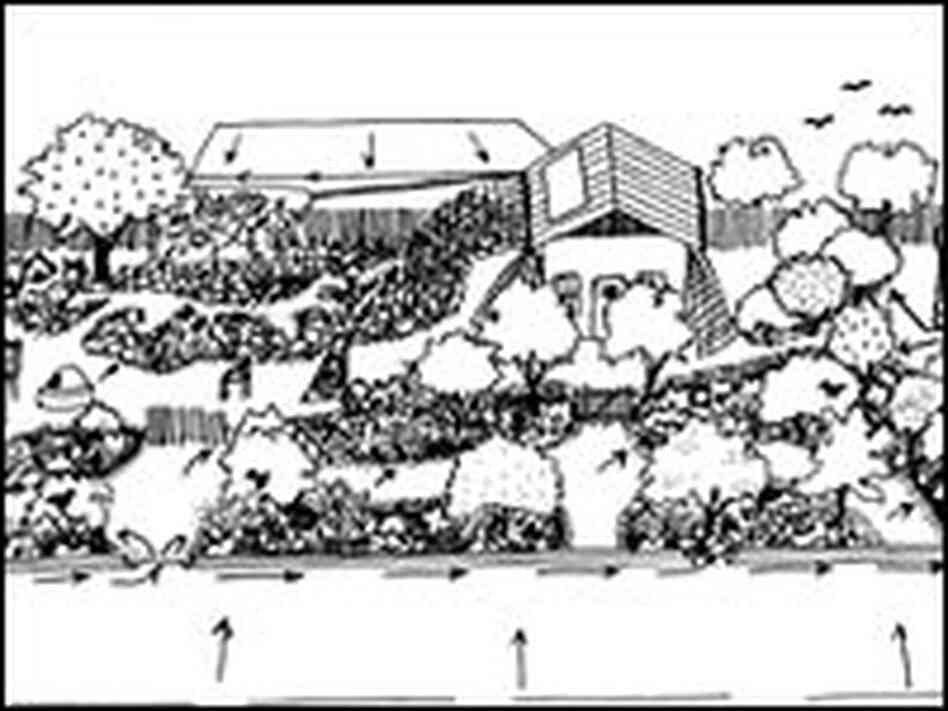 Illustration of Lancaster's property in 2006